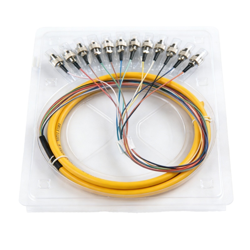 FCUPC-12 الأساسية -SM